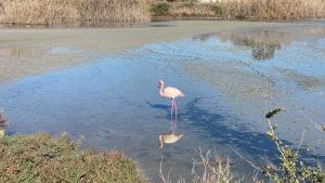 Poetto Casa Bach Ck img44