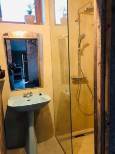 Schuurloft Hof ten Bogaerde met biozwembad, veldzicht & uilennest