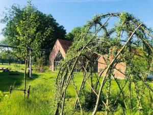 Schuurloft Hof ten Bogaerde met biozwembad, veldzicht & uilennest