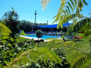 Casa cu Trandafiri Murighiol - Sarinasuf