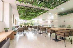 Vibrant 3 BR in Usaquén