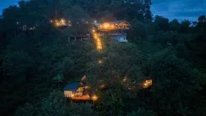 Ma Family Coffee Farm ไร่กาแฟครอบครัวมะ - Ban Mae Aep