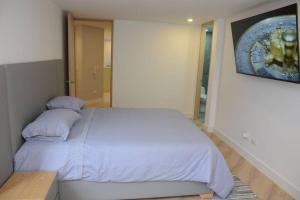 Beautiful 3 BR Apt in Zona Rosa