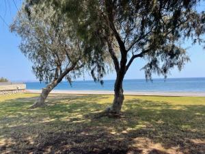 Kiotari Dream beachfront villa