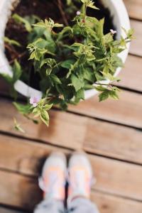 Heerlijk huisje op de Veluwe in Putten