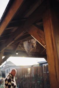 Heerlijk huisje op de Veluwe in Putten