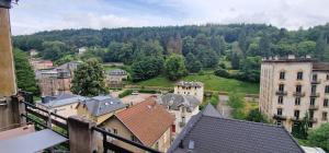 Appartements Le Duo Thermal : Appartement 1 Chambre