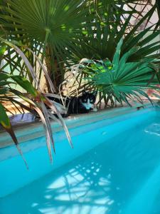 Courtyard family room