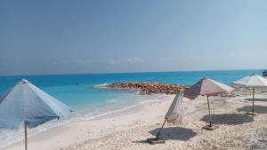 3 غرف و صاله جرين بيتش الساحل الشمالي للعائلات فقط