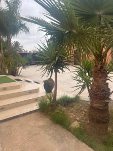 Villa Zaouiat