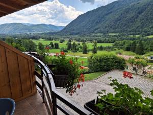 Apartments NEAR THE SOČA RIVER