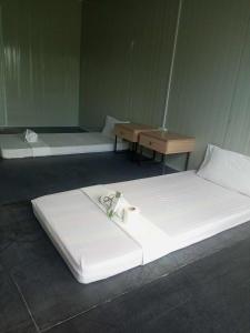 The Waves at Socorro Baler- Hotel A