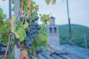 Sofiko Family House - Áyios Ioánnis