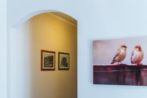 I Cardilli di San Lorenzo