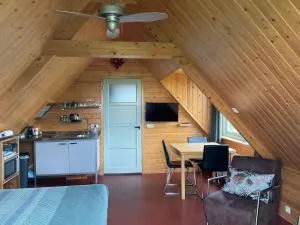 B&B en Vakantiehuisje Ursula - 沃尔克姆