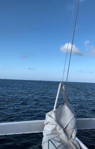 Appartements Chez Jeannette, appartement entre centre et plages : Appartement 1 Chambre