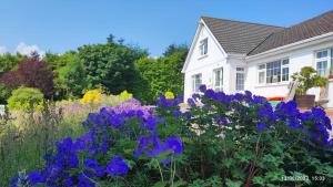 Happy Hill Guesthouse