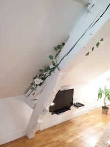 Appartements Quietude au Bord de Loire. : photos des chambres