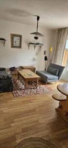 Deux pièces face aux pistes - Péone