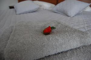 Apartament Halo Kołobrzeg