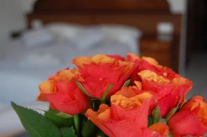 Apartament Halo Kołobrzeg