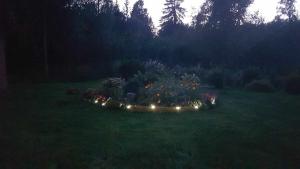 Lonni Nature Eco-Accommodation