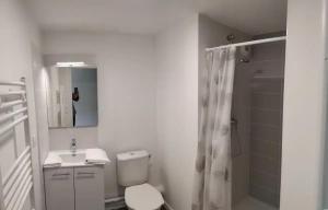 Appartements A4-13 Studio Cosy Toulouse : photos des chambres