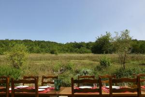 B&B / Chambres d'hotes Domaine Foray : Chambre Double