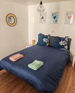 Appartements Gite Cosy - 41m2 - Hyper Centre - Climatisation : photos des chambres