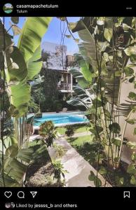 Apartment Oasis In Hippest Part Of Tulum