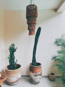 Apartment Oasis In Hippest Part Of Tulum