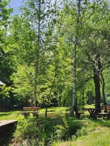 Ognjište - Žitorađa