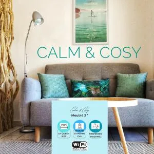 Calm & Cosy, magnifique T1 proche CHU - 圣皮埃尔