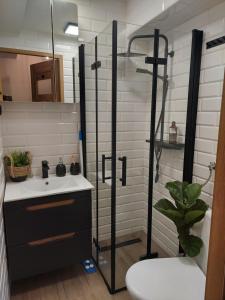 Apartament szczęśliwa 13