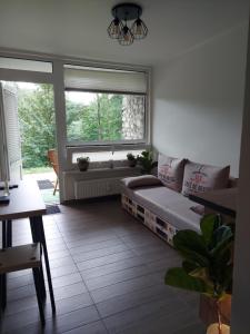 Apartament szczęśliwa 13