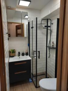 Apartament szczęśliwa 13