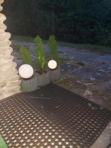 Apartament szczęśliwa 13