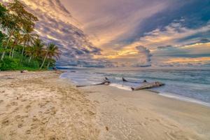 Colibri Caribbean Cottage, hermosa y amplia casa a pasos de una exótica playa con piscinas naturales