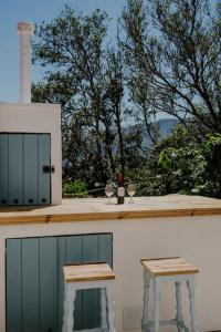 El Pino Centenario 4B