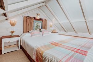 El Pino Centenario 4B