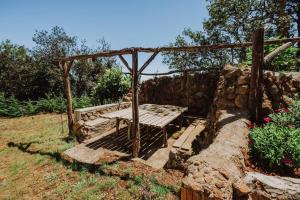 El Pino Centenario 4B