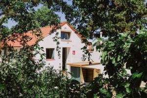 El Pino Centenario 4B