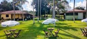 Fazenda Oásis do Pará