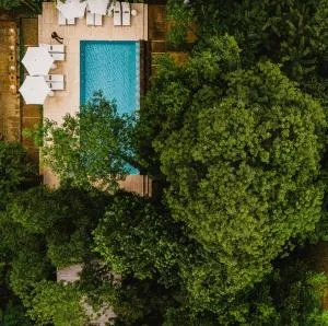 Miraselva Lodge - Ельдорадо