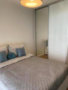 Apartament Wrocław, centrum, SPA i siłownia