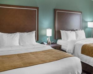 Queen Room with Two Queen Beds - Non-Smoking room in Comfort Inn & Suites San Marcos