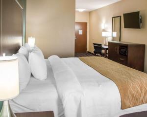 King Suite - Non-Smoking room in Comfort Inn & Suites San Marcos