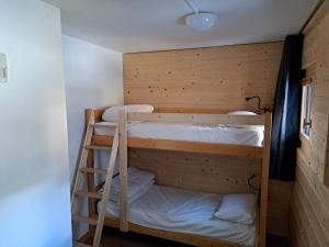 Appartements T3 avec vue montagne : photos des chambres