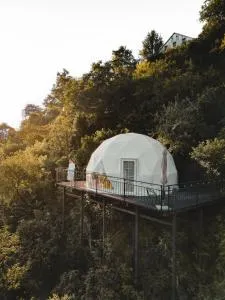 Mandarina - Cosmo Dome - Tsinsvla