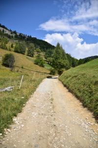 Magura Rustic Tiny House